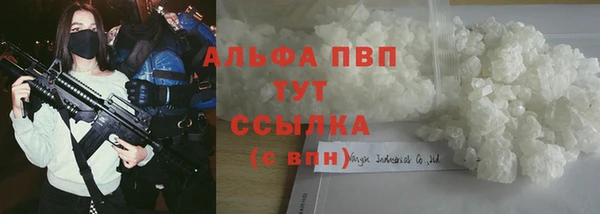прущие крисы Покачи