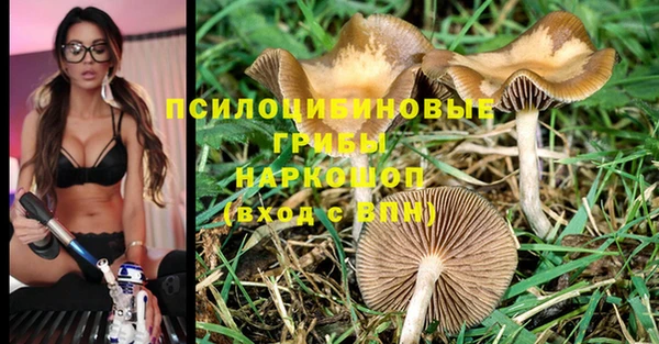 крисы Пересвет